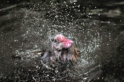 1���@�u�����сv�@�O�����F